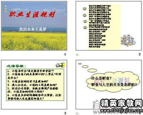 個(gè)人職業(yè)生涯規(guī)劃范文(個(gè)人5年職業(yè)生涯規(guī)劃書范文)