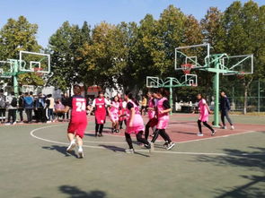 籃球賽作文開頭秋天