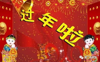 除夕春節(jié)感悟作文的開頭