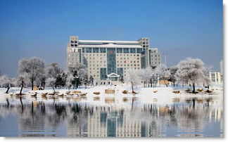 游集安政府廣場作文開頭