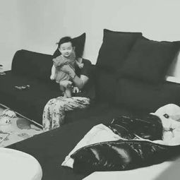 我最崇拜我的父親作文開頭