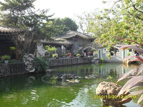 清暉園游記作文開頭