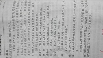 回味照片800字作文開頭