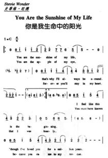 你是我生命里的陽光作文開頭結尾