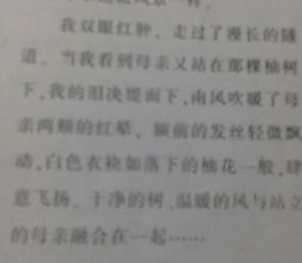 寫人親情敘事作文開頭結(jié)尾摘抄大全