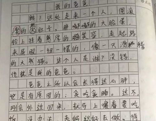 我與爸爸的事作文600字作文開頭