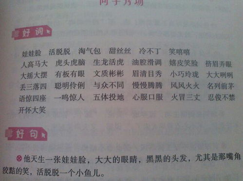 校園的小伙伴作文開頭結(jié)尾怎么寫