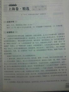 說(shuō)說(shuō)自己的心里話(huà)450作文開(kāi)頭