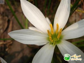 關(guān)于成功與人格的經(jīng)典語錄(人格的成功)