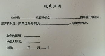 單證遺失事故的處理方法(單證遺失事故的處理方法)