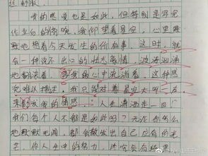 《初雪》作文開(kāi)頭