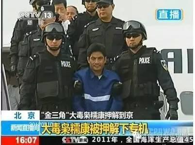 湄公河行動(dòng)觀后感作文開頭