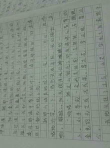 不少于150字的作文開(kāi)頭,倒敘開(kāi)頭的作文150字,作文開(kāi)頭150字