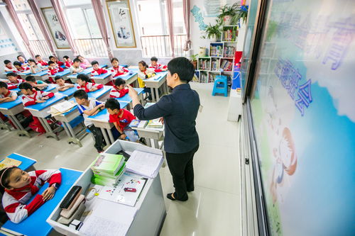 教育培訓(xùn)學(xué)校暑假課外活動方案(教育培訓(xùn)學(xué)校暑假課外活動方案)