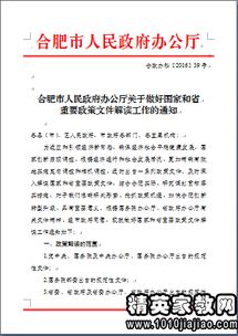 政府工作整改報(bào)告(整改報(bào)告)