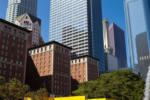 初二抒情性作文開頭結(jié)尾