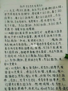 作文開(kāi)頭父親優(yōu)美句子