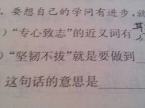 堅韌不拔的作文開頭怎么寫