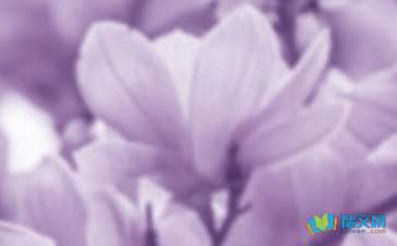 描寫玉蘭花的作文開頭