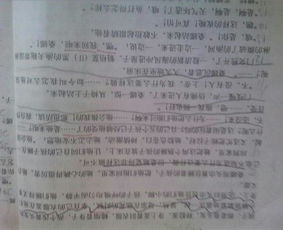 關(guān)于歷史的作文的開頭