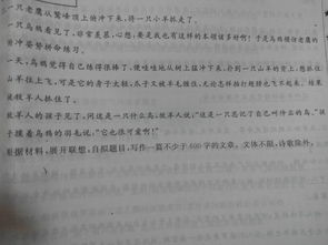 表示圓的想象作文開(kāi)頭