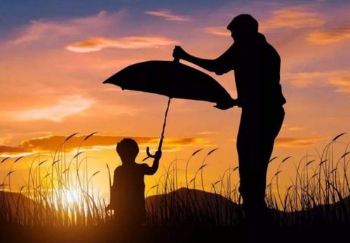 喜歡這樣的自我作文開頭