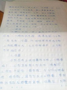 冬至節(jié)作文優(yōu)美開頭