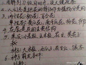 我和什么什么的同學的作文600字作文開頭