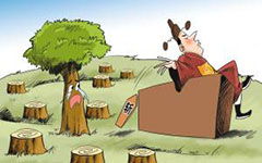 關(guān)于砍樹的作文(關(guān)于砍樹作文)