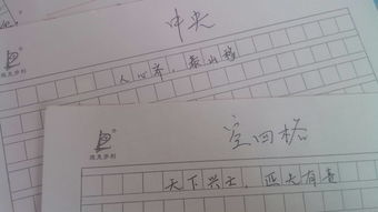 詩中的春是美麗的600字作文開頭