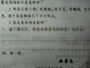 鳥的知音作文開頭