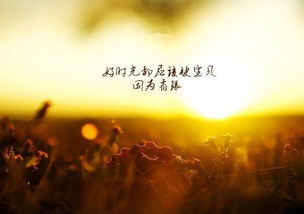 關(guān)于工作的勵(lì)志語(yǔ)錄(關(guān)于工作的勵(lì)志語(yǔ)錄)