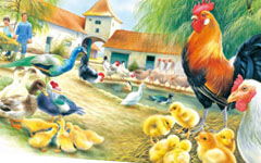 我對(duì)動(dòng)物的啟示的作文開頭