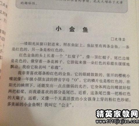 捉蟲(chóng)趣事作文開(kāi)頭