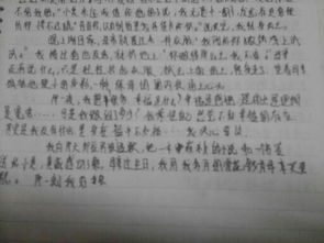 作文,開頭,真實,情感