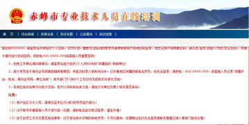 專(zhuān)業(yè)技術(shù)人員考核總結(jié)(專(zhuān)業(yè)技術(shù)人員年度考核個(gè)人總結(jié))