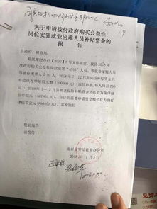 公益性崗位整改報告(公益性崗位調(diào)研報告)