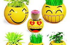 什么讓他笑了作文600字作文開頭