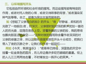 亮的作文提綱開頭