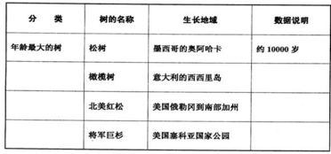 第一次半命題作文開頭