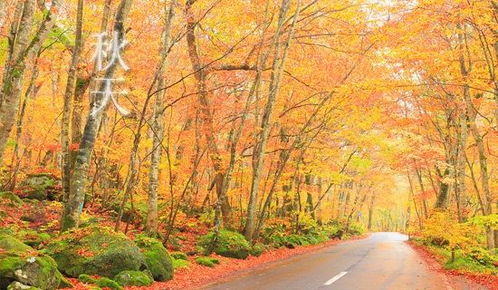 400字美麗的秋天作文開(kāi)頭