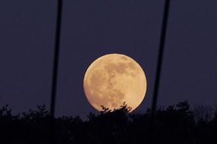 中秋節(jié)作文600字大全開頭