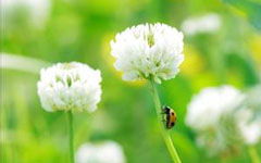 一件小事的啟示開頭300字作文