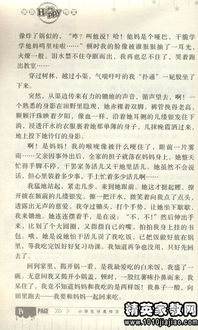 描寫運(yùn)動會的精彩作文開頭