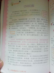 以我的理想為題寫作文開頭