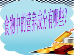 小學(xué)關(guān)于營養(yǎng)的課件(關(guān)于小學(xué)課件)