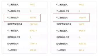 關于社保的這些信息不能錯過(吃什么對頭發(fā)好 這些食物不能錯過)