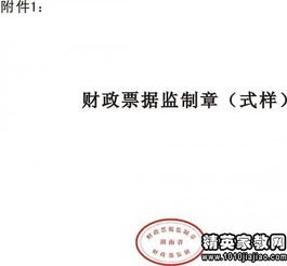 票據(jù)管理整改報告(非稅票據(jù)管理整改報告)