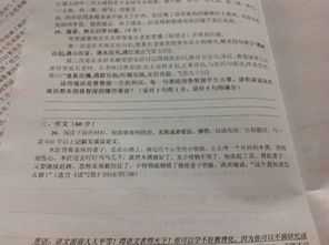 互幫互助作文開頭