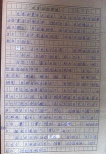 的嘗試作文600字作文開頭怎么寫